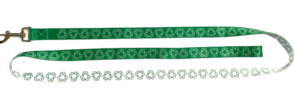 Alternative view of Dog Leash