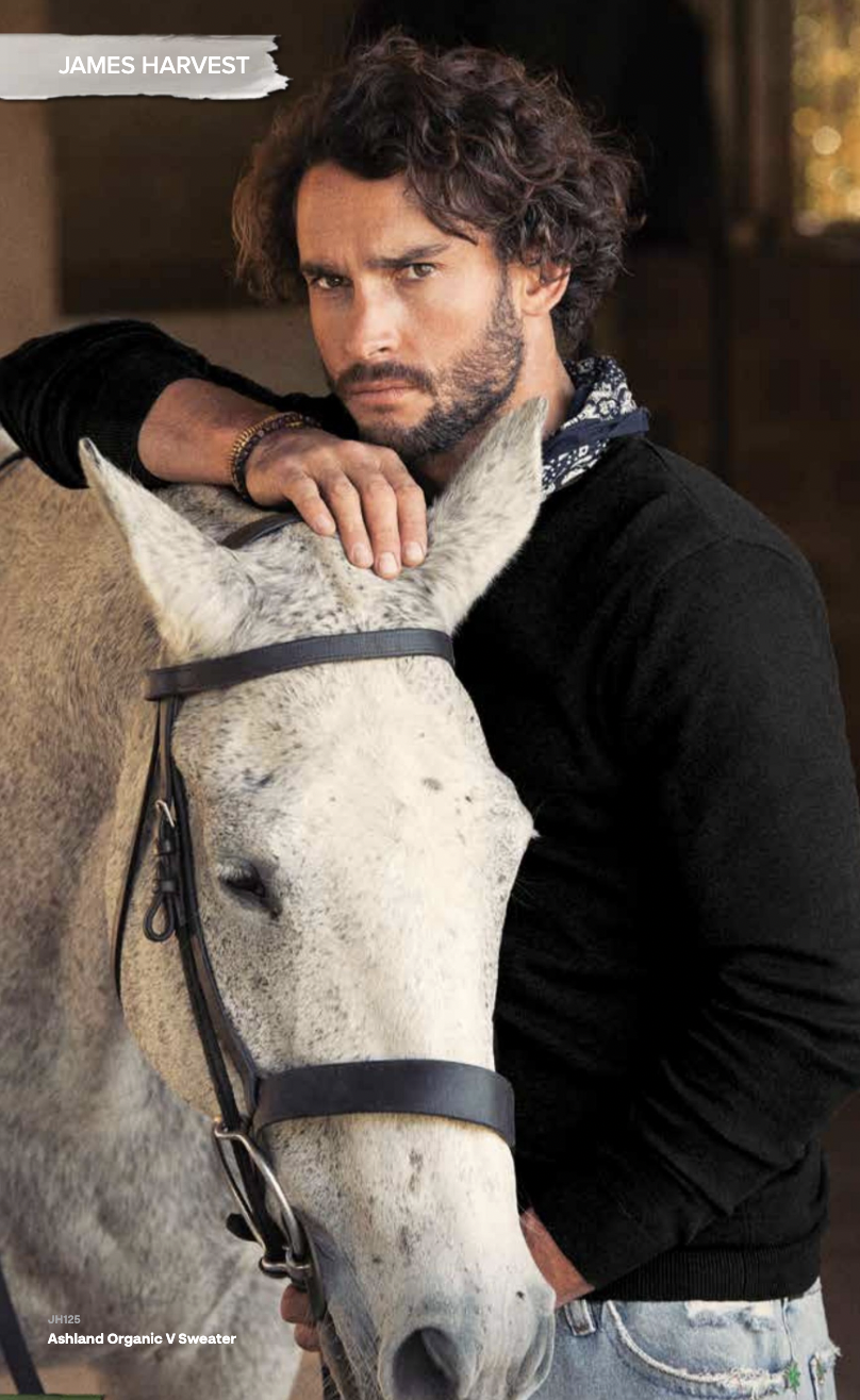 Ashland V-Neck Sweater (100% Organic Cotton)