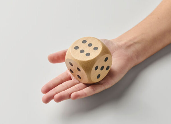 Alternative view of 5cm Dice in Schima Wood