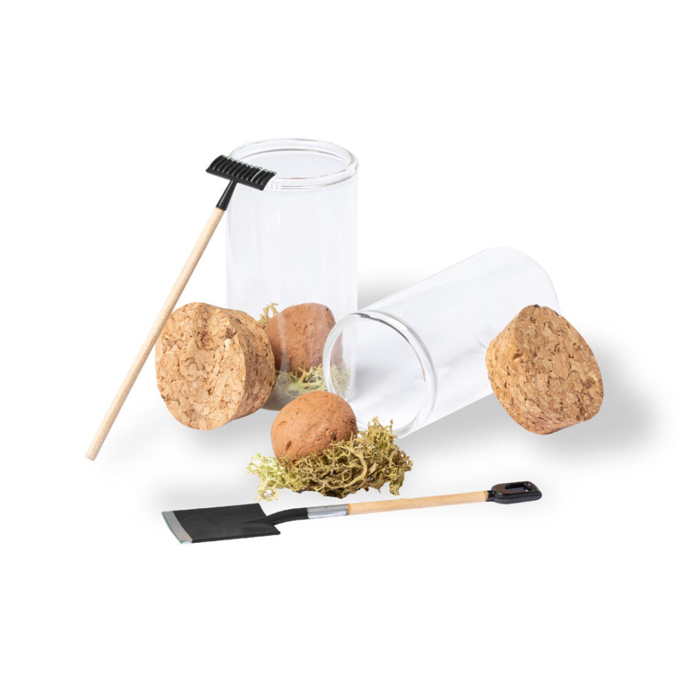 Alternative view of Seed Bonbons Winsu