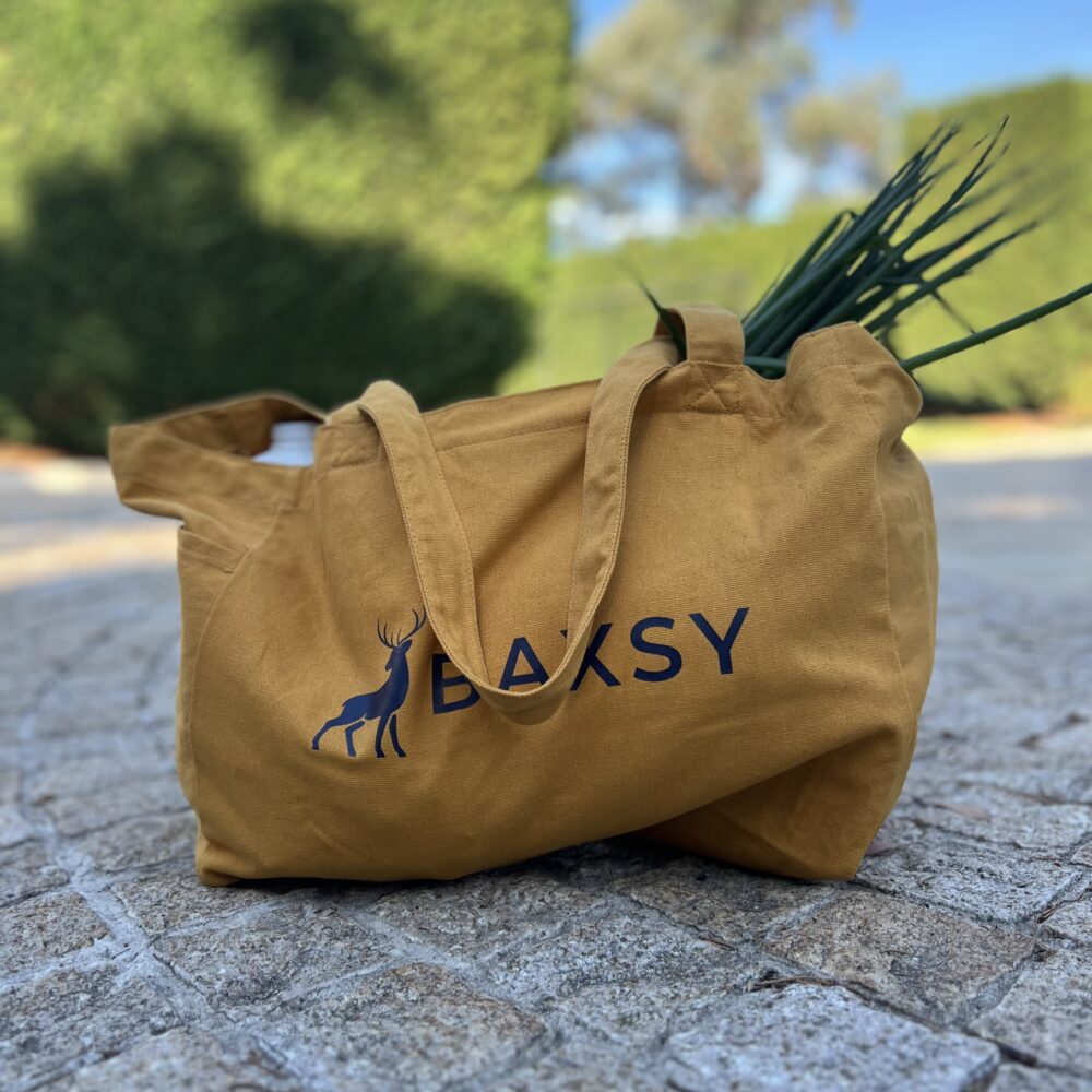 Bondi Canvas Tote Bag - Coloured & Oversized