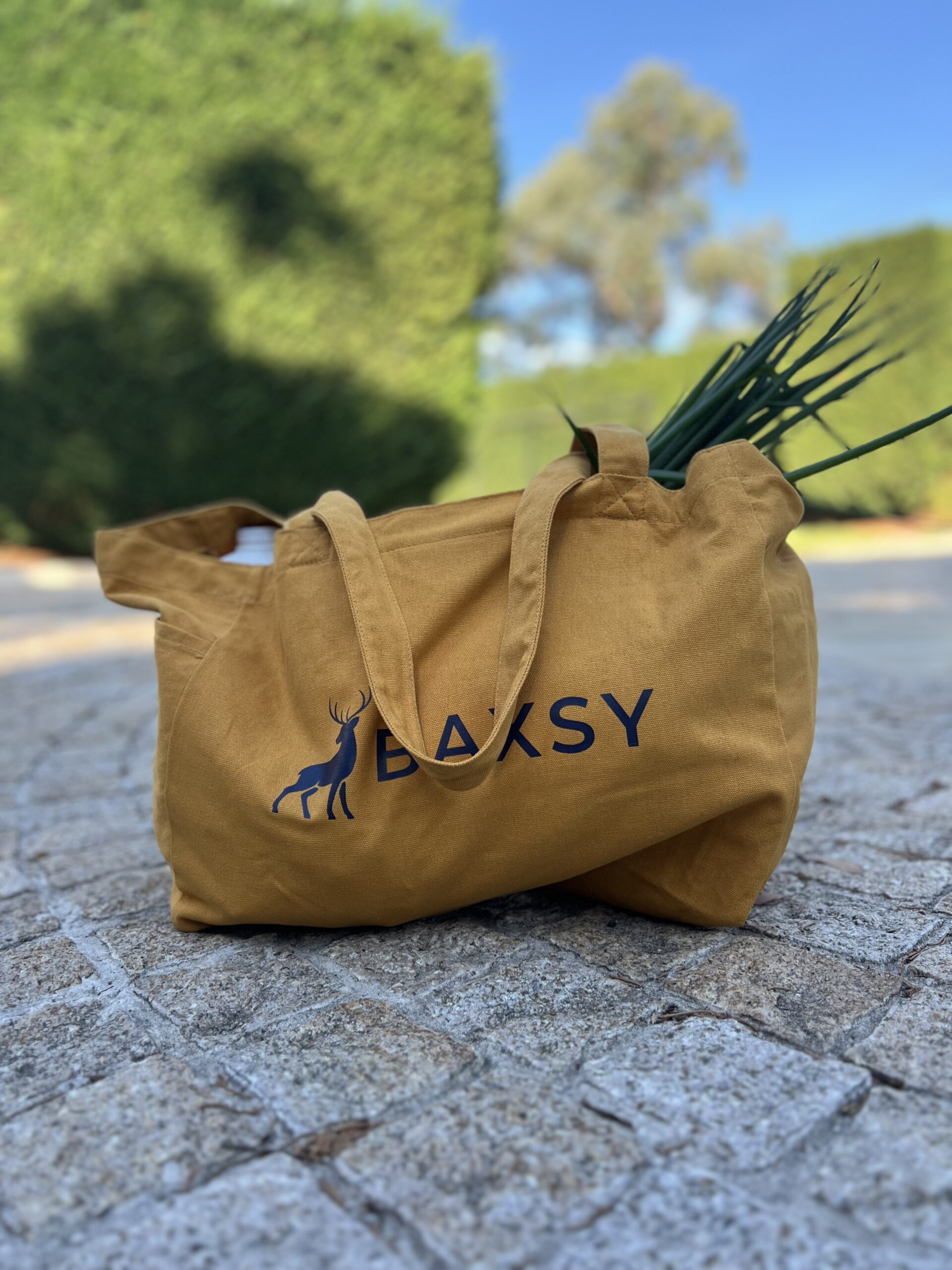 Bondi Canvas Tote Bag - Coloured & Oversized